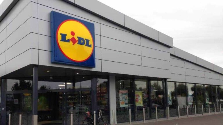 Cohue chez Lidl avec ses produits pour apporter de l’ombre à vos terrasses et vos balcons !